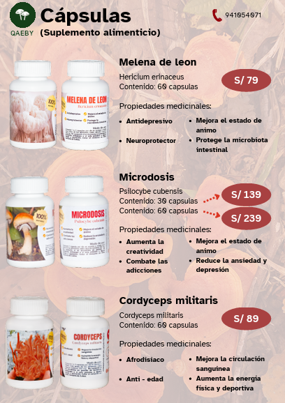 Extracto de reishi